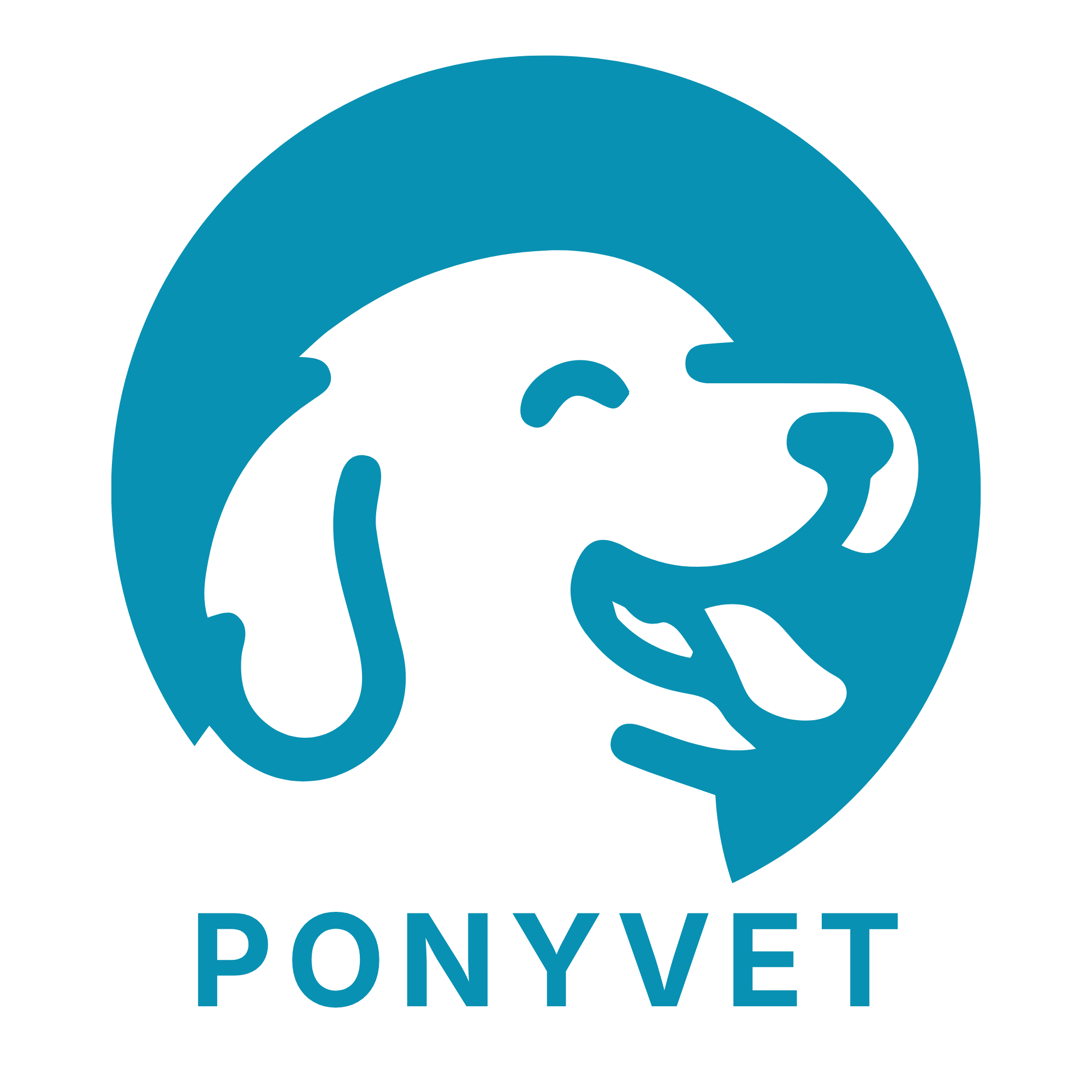 Ponyvet